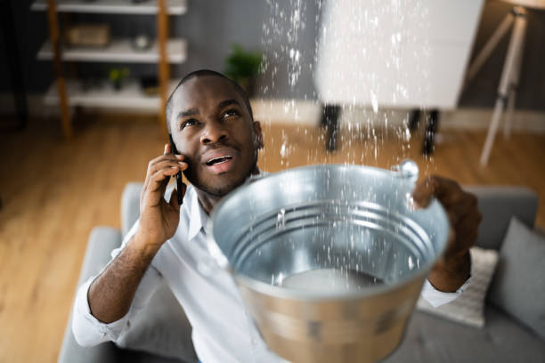 Best Professional water damage repair  in Ashland, PA