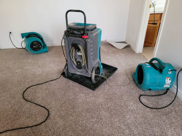 Best Mold removal after water damage  in Ashland, PA