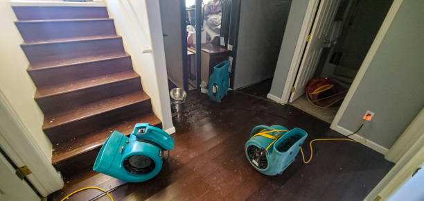 Best Fire Damage Restoration  in Ashland, PA