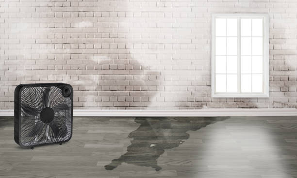 Best Water damage restoration near me  in Ashland, PA