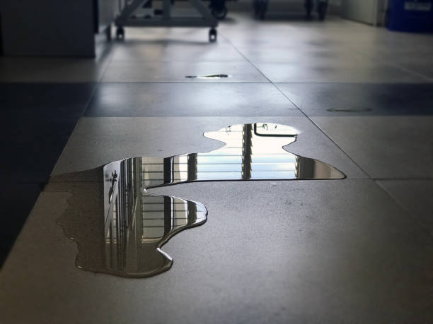 Best Local water damage restoration  in Ashland, PA